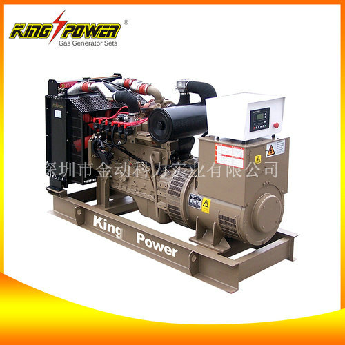 頁巖氣發(fā)電機廠家,頁巖氣發(fā)電機價格,供應(yīng)頁巖氣發(fā)電機